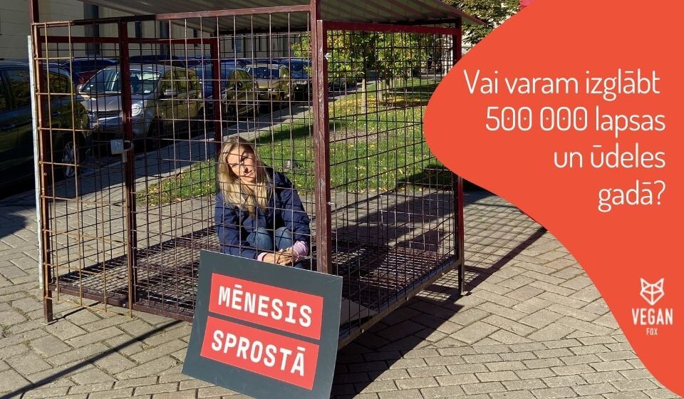 Izglābt 500 000 lapsas un ūdeles